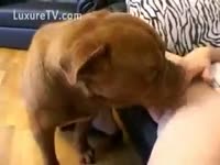 Teen babe feeds her pussy to a dog xxx